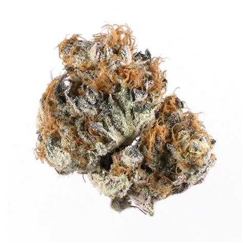 Blueberry aka Berry Blue Weed Strain Information 